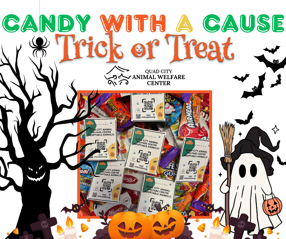 Candy for a cause 1